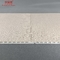 Los paneles de pared plásticos del material de construcción interior anticorrosivo