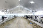 Alto lustre que imprime 5m m - los paneles de techo del PVC de 10m m para la granja CE emparedan/del tejado