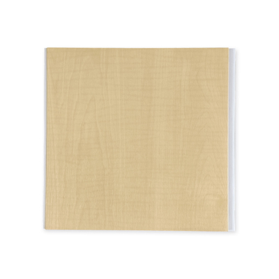 Buen precio Los paneles de pared plásticos brillantes modificados para requisitos particulares para el sitio de vida del estallido en línea